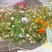 ヒメ日記 2025/05/28 09:15 投稿 みお 横浜おかあさん