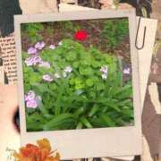 ヒメ日記 2025/05/30 10:35 投稿 みお 横浜おかあさん