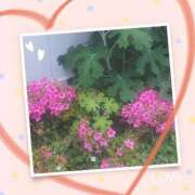 ヒメ日記 2025/06/03 09:55 投稿 みお 横浜おかあさん