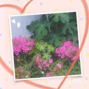 ヒメ日記 2025/11/14 14:11 投稿 みお 横浜おかあさん