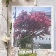 ヒメ日記 2026/03/17 16:31 投稿 みお 横浜おかあさん