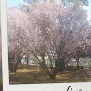 ヒメ日記 2026/03/21 13:55 投稿 みお 横浜おかあさん