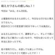 ヒメ日記 2025/12/22 12:22 投稿 はる 萌えカワ