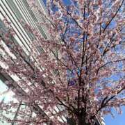 ヒメ日記 2026/03/15 22:50 投稿 はる 萌えカワ