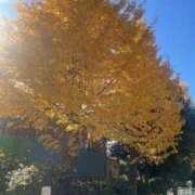 ヒメ日記 2025/12/23 12:47 投稿 南条 新宿人妻城