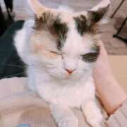 ヒメ日記 2026/05/18 11:15 投稿 南条 新宿人妻城