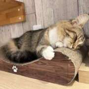 ヒメ日記 2026/06/02 16:48 投稿 南条 新宿人妻城
