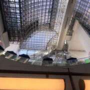 南条 クイズ 渋谷人妻城