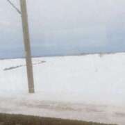 ヒメ日記 2026/03/10 12:00 投稿 南条 渋谷人妻城