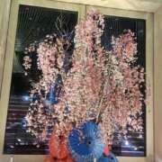 ヒメ日記 2026/03/21 18:00 投稿 南条 渋谷人妻城