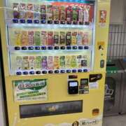 ヒメ日記 2026/03/24 13:00 投稿 南条 渋谷人妻城