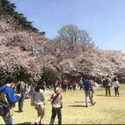 ヒメ日記 2026/04/01 16:45 投稿 南条 渋谷人妻城