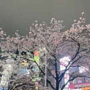 ヒメ日記 2026/04/04 07:00 投稿 南条 渋谷人妻城