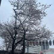 南条 お題 最近見た夢 渋谷人妻城