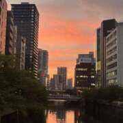 ヒメ日記 2026/09/12 19:30 投稿 南条 渋谷人妻城