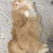 ヒメ日記 2025/07/06 18:06 投稿 アイナ ぺろぺろベロベロ専科 ぺろんちょ