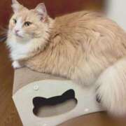 ヒメ日記 2025/08/22 21:05 投稿 アイナ ぺろぺろベロベロ専科 ぺろんちょ