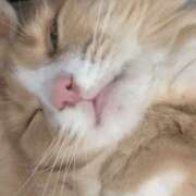 ヒメ日記 2025/09/02 20:10 投稿 アイナ ぺろぺろベロベロ専科 ぺろんちょ