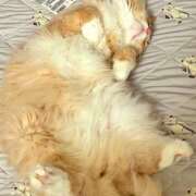 ヒメ日記 2025/09/07 10:35 投稿 アイナ ぺろぺろベロベロ専科 ぺろんちょ