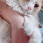 ヒメ日記 2025/10/25 23:55 投稿 アイナ ぺろぺろベロベロ専科 ぺろんちょ