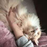 ヒメ日記 2025/10/26 23:25 投稿 アイナ ぺろぺろベロベロ専科 ぺろんちょ