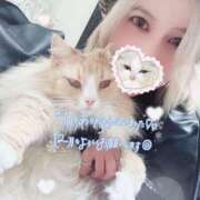 ヒメ日記 2025/12/01 07:25 投稿 アイナ ぺろぺろベロベロ専科 ぺろんちょ