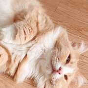 ヒメ日記 2025/12/05 10:05 投稿 アイナ ぺろぺろベロベロ専科 ぺろんちょ