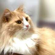 ヒメ日記 2025/12/08 18:25 投稿 アイナ ぺろぺろベロベロ専科 ぺろんちょ