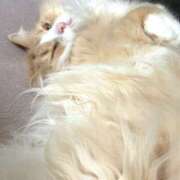 ヒメ日記 2025/12/11 07:15 投稿 アイナ ぺろぺろベロベロ専科 ぺろんちょ