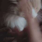 ヒメ日記 2025/12/14 05:15 投稿 アイナ ぺろぺろベロベロ専科 ぺろんちょ