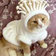 ヒメ日記 2025/12/27 00:35 投稿 アイナ ぺろぺろベロベロ専科 ぺろんちょ