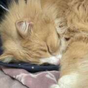 ヒメ日記 2026/01/14 00:15 投稿 アイナ ぺろぺろベロベロ専科 ぺろんちょ