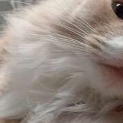 ヒメ日記 2026/02/21 00:05 投稿 アイナ ぺろぺろベロベロ専科 ぺろんちょ