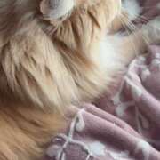 ヒメ日記 2026/03/27 19:35 投稿 アイナ ぺろぺろベロベロ専科 ぺろんちょ