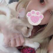 ヒメ日記 2026/04/02 17:56 投稿 アイナ ぺろぺろベロベロ専科 ぺろんちょ