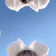 ヒメ日記 2025/12/07 21:03 投稿 李茉-りま【FG系列】 ほんとうの人妻　柏店