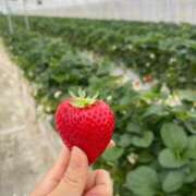 ヒメ日記 2026/01/22 20:03 投稿 李茉-りま【FG系列】 ほんとうの人妻　柏店