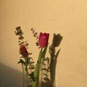 せな【天使級激カワ美女】 🎀ごめんなさい かわいい素人女子TOP100(地方出身者編)