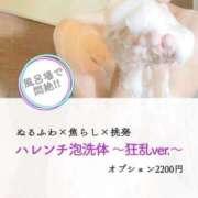 ヒメ日記 2025/08/26 23:50 投稿 翠衣子 五反田痴女性感フェチ倶楽部