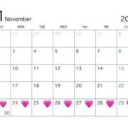 ヒメ日記 2025/11/11 10:50 投稿 るな 変態どっとこむ～即尺痴女伝説～（木更津）