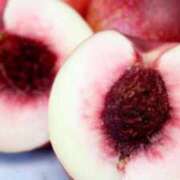 ヒメ日記 2025/07/28 21:59 投稿 れむ 変態どっとこむ～即尺痴女伝説～（木更津）