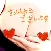 ヒメ日記 2025/05/19 09:47 投稿 とわ 蒼いうさぎ