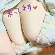 ヒメ日記 2025/05/19 11:11 投稿 とわ 蒼いうさぎ