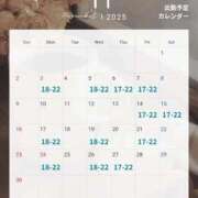 ヒメ日記 2025/11/02 11:03 投稿 わかな ノーハンドの人妻　上野店