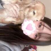 ヒメ日記 2025/11/20 17:34 投稿 ありす いざ候 別館