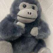 ありす 🦍 いざ候 別館