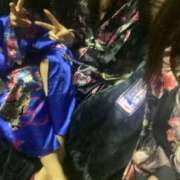 ヒメ日記 2026/02/06 22:44 投稿 ありす いざ候 別館