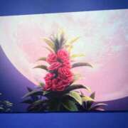 ヒメ日記 2025/07/30 21:37 投稿 牧野るり ホットポイントヴィラ