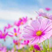 ヒメ日記 2025/10/06 09:54 投稿 牧野るり ホットポイントヴィラ