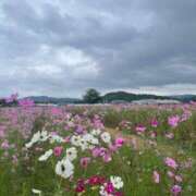 ヒメ日記 2025/10/17 07:42 投稿 牧野るり ホットポイントヴィラ